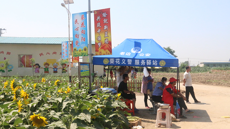 “葵花義警”