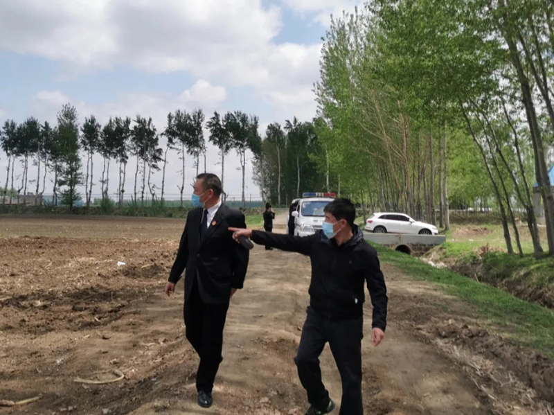 朱家房法庭孫玉兵庭長帶工作人員下田間地頭了解情況1