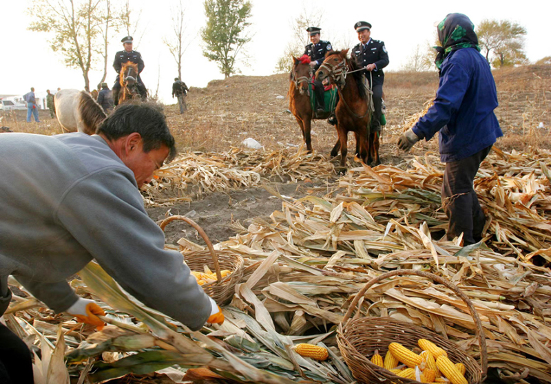 2009年10月，“馬背110”民警在田間巡邏。