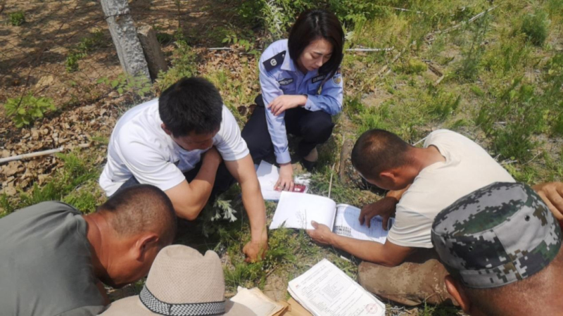 配文2：司法所工作人員現(xiàn)場查看土地臺賬。