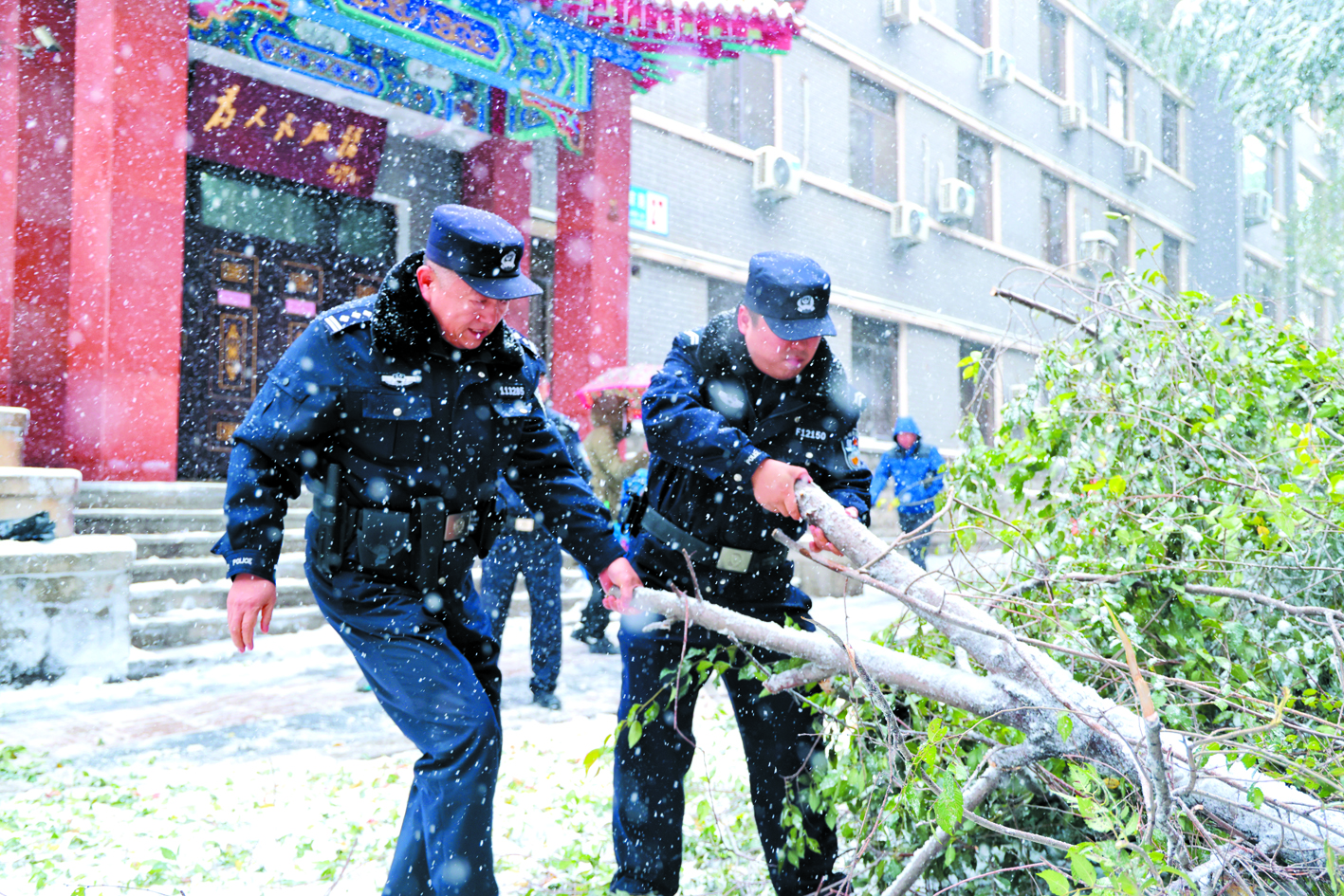沈河公安民輔警清理樹木斷枝