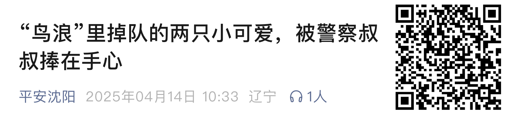 小鳥(niǎo)111
